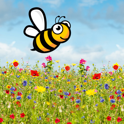 <br />
<b>Warning</b>:  Undefined property: stdClass::$img_alt_tag in <b>/www/htdocs/w00b23f5/website.gut-buestedt.de/modules/mod_uk_grid/tmpl/default.php</b> on line <b>64</b><br />
